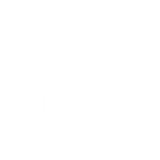 audio system graphic